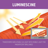 Goldwell Dual Senses Blonde & Highlights Shampoo