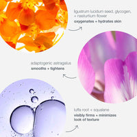 DERMALOGICA- Phyto Nature - Phyto Nature Oxygen Cream