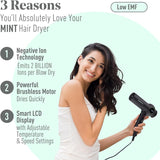 MINT Dragonfly Ionic Dryer