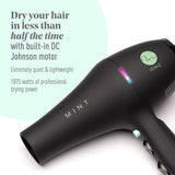 Mint Blackbird Professional Blowdryer
