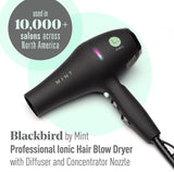 Mint Blackbird Professional Blowdryer
